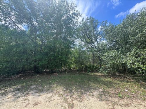 11548 Ne 62nd Ln, WILLISTON, FL, 32696-9724 | Card Image