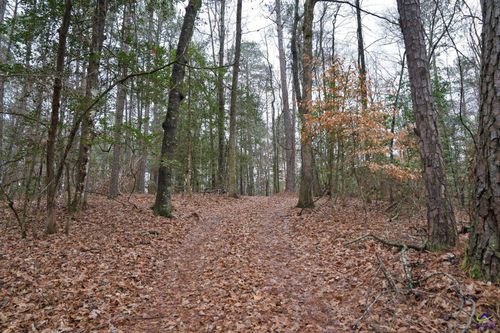 0 S Lee St, Forsyth, GA, 31029 | Card Image