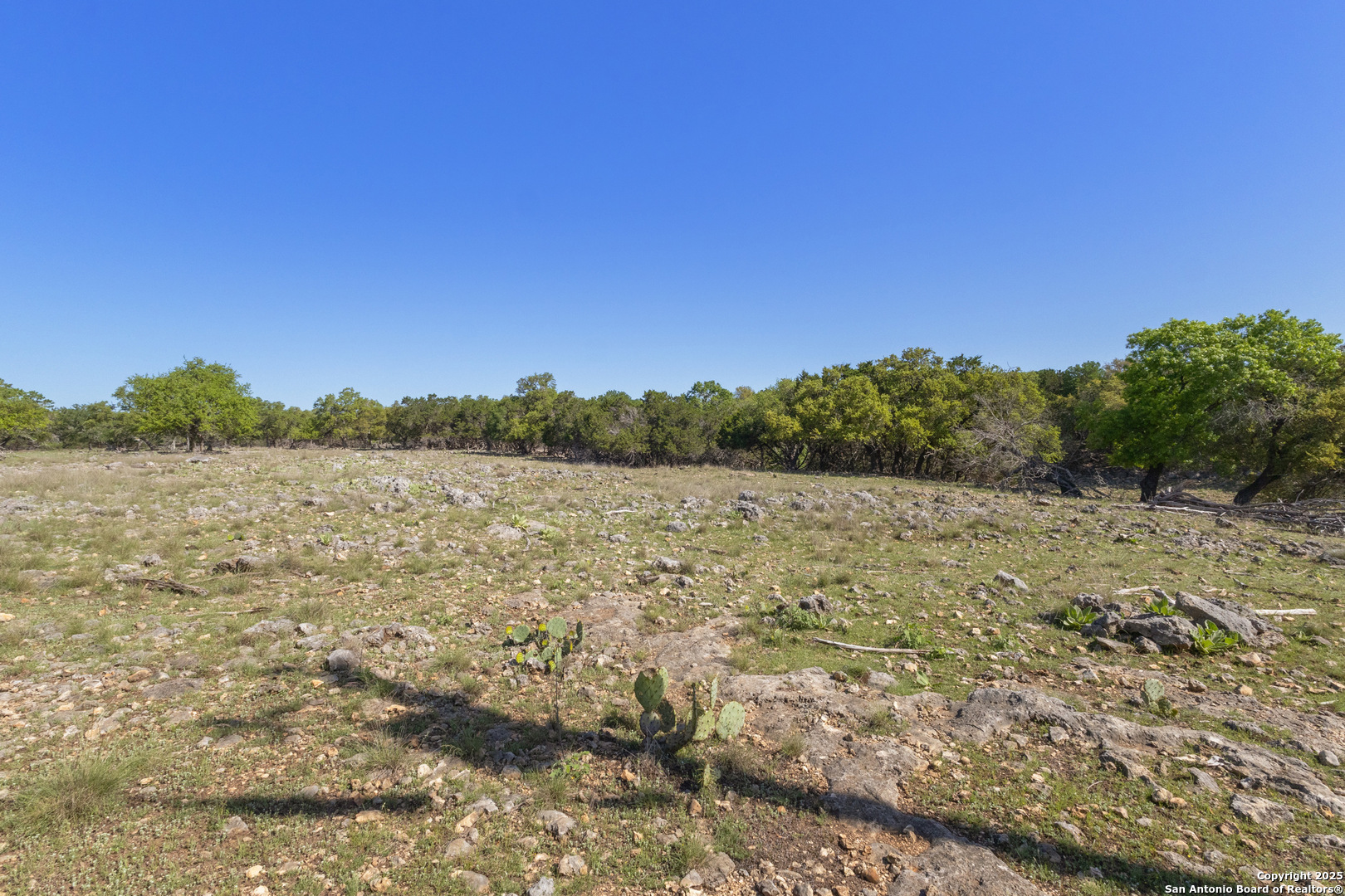 Land in Spring Branch 3