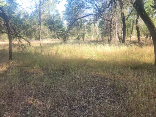 12910 Old Oregon Trl, Redding, CA, 96003-7450 | Card Image