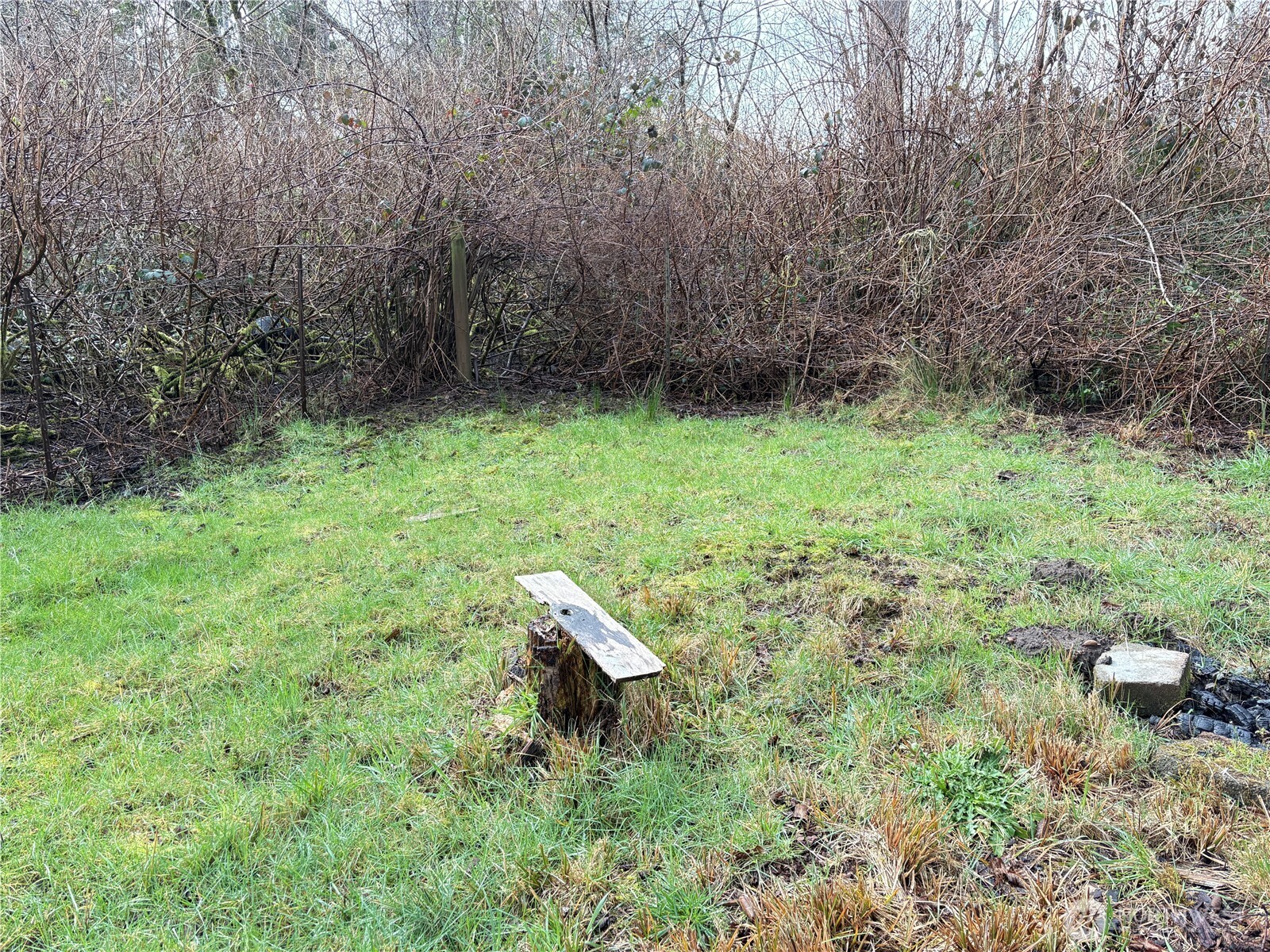 Land in Ocean Shores