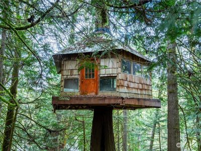 Stunning Tree House with a great story as to how it was constructed. | Image 3