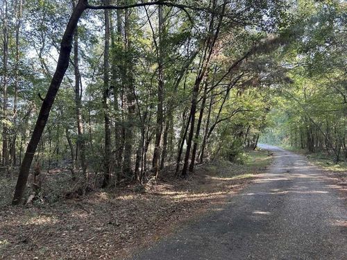 1229 Spraglin Road, Pittsburg, TX, 75686 | Card Image