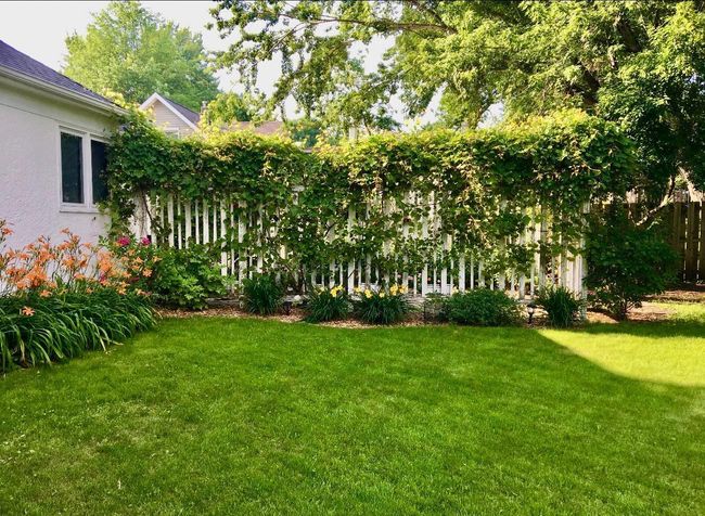 The climbing ivy provides additional privacy to the back patio and the flowerbeds are carefully maintained and bursting with beauty! | Image 23