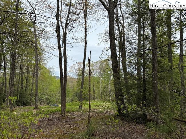 287 Cougar Run, Home with 0 bedrooms, 0 bathrooms and null parking in Linville NC | Image 10