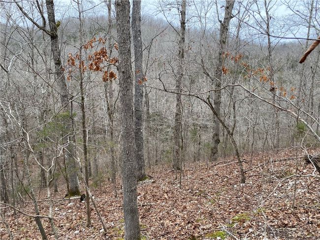 000 Holmes Rd, Home with 0 bedrooms, 0 bathrooms and null parking in Mountain View AR | Image 20