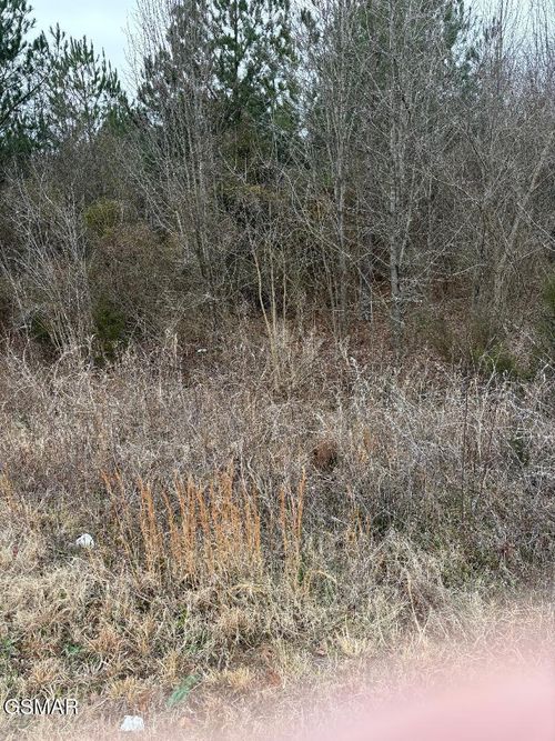 000 Winfield Dunn Pkwy, Sevierville, TN, 37862 | Card Image
