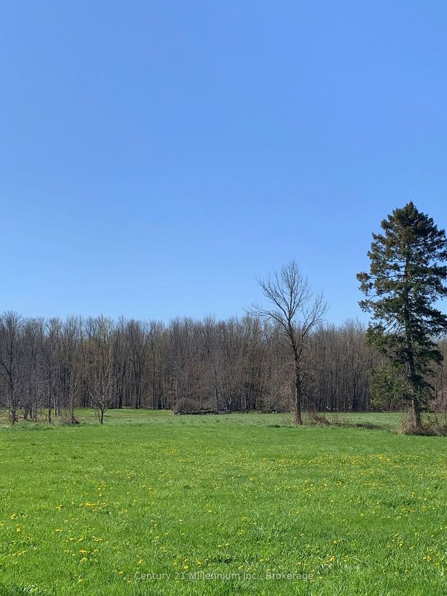 264094 Sideroad 24, Home with 2 bedrooms, 2 bathrooms and 5 parking in Municipality Of Meaford ON | Image 9