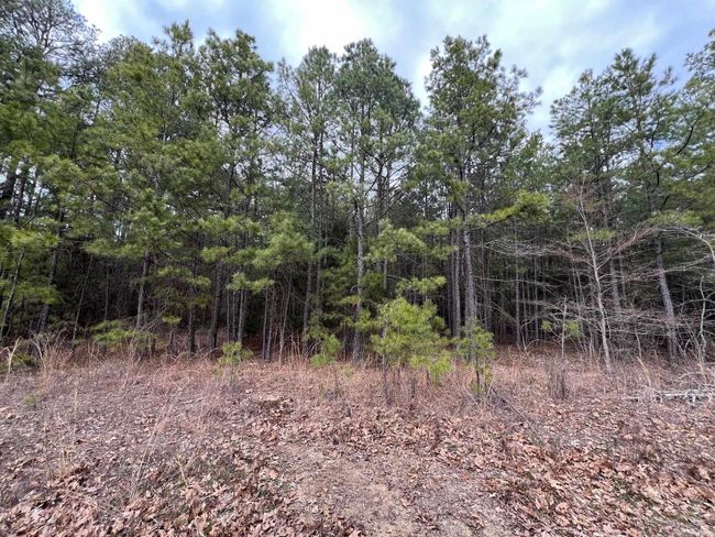 00 Yates Ln, Home with 0 bedrooms, 0 bathrooms and null parking in Tumbling Shoals AR | Image 15