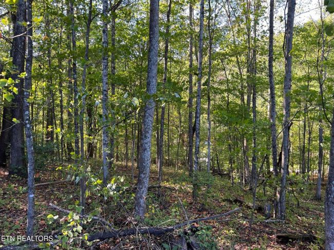 822 W Bates St, Home with 0 bedrooms, 0 bathrooms and null parking in Rockwood TN | Image 10