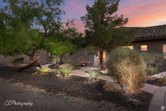 View of yard featuring a patio area | Image 5