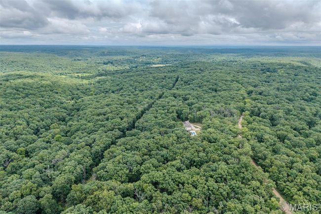 Aerial view of a forest | Image 74