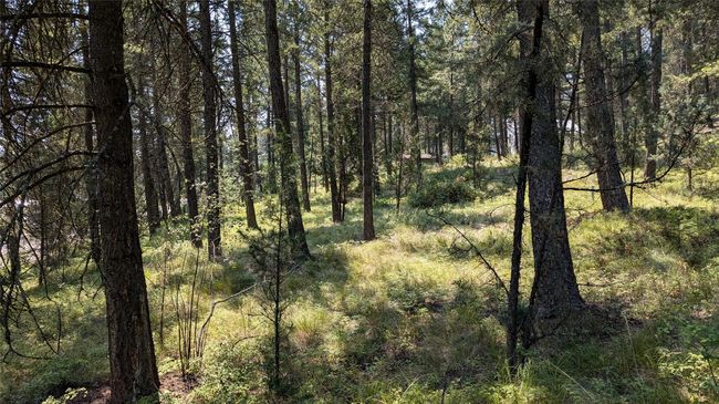 LEVEL AND GENTLY SLOPING TERRAIN | Image 17