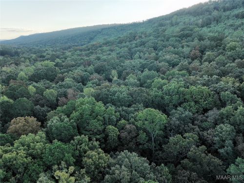 0 Sumatanga Rd, Steele, AL, 35987 | Card Image