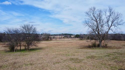 TBD Cr 1460-1, Linden, TX, 75563 | Card Image