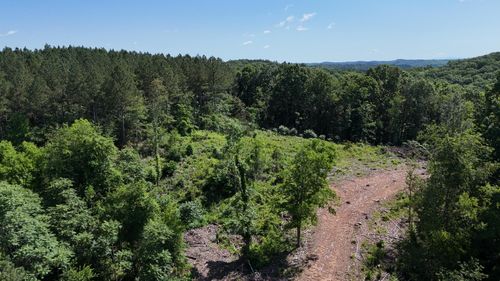 Lot 2 Lamontville Rd, Decatur, TN, 37322 | Card Image