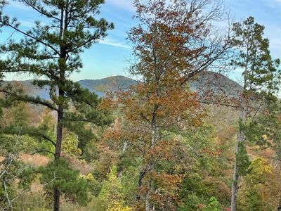 850 Jones Cemetery Road, Home with 0 bedrooms, 0 bathrooms and null parking in Calico Rock AR | Image 1