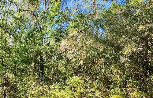 NHN Loop St, Poplarville, MS, 39470 | Card Image