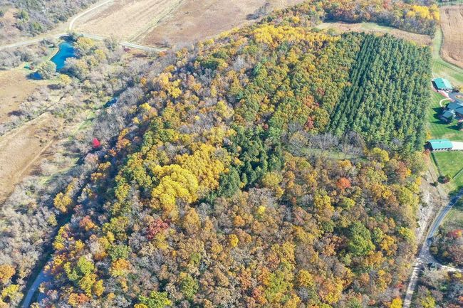 28.7 Acres Turkey Road, Home with 0 bedrooms, 0 bathrooms and null parking in BERRY WI | Image 15