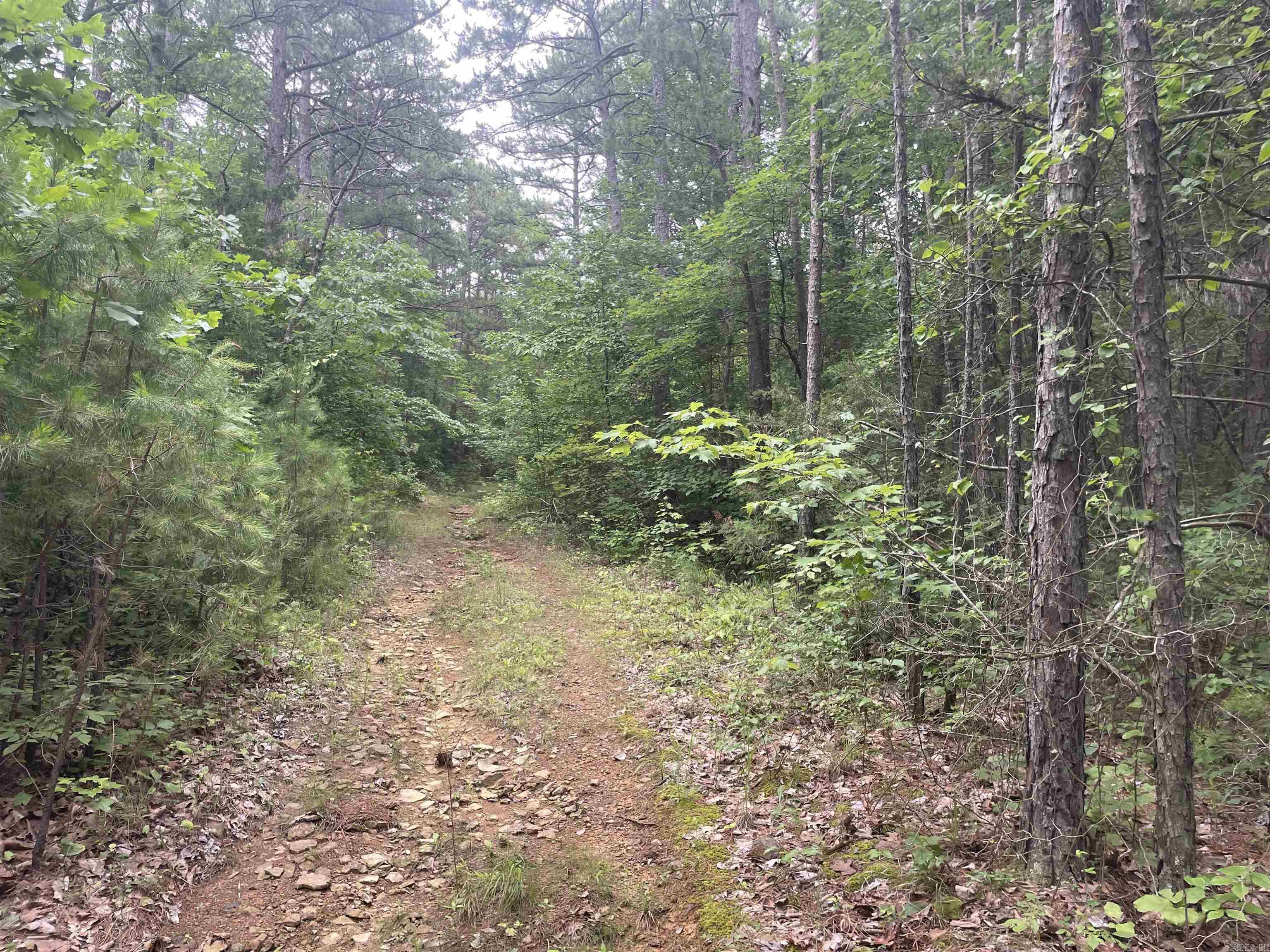 Land in Clinton