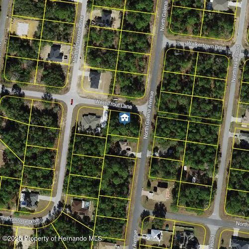 7970 N Galena Ave, Citrus Springs, FL, 34434-6607 | Card Image