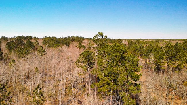 0 Egypt Ardmore Rd, Home with 0 bedrooms, 0 bathrooms and null parking in Springfield GA | Image 4
