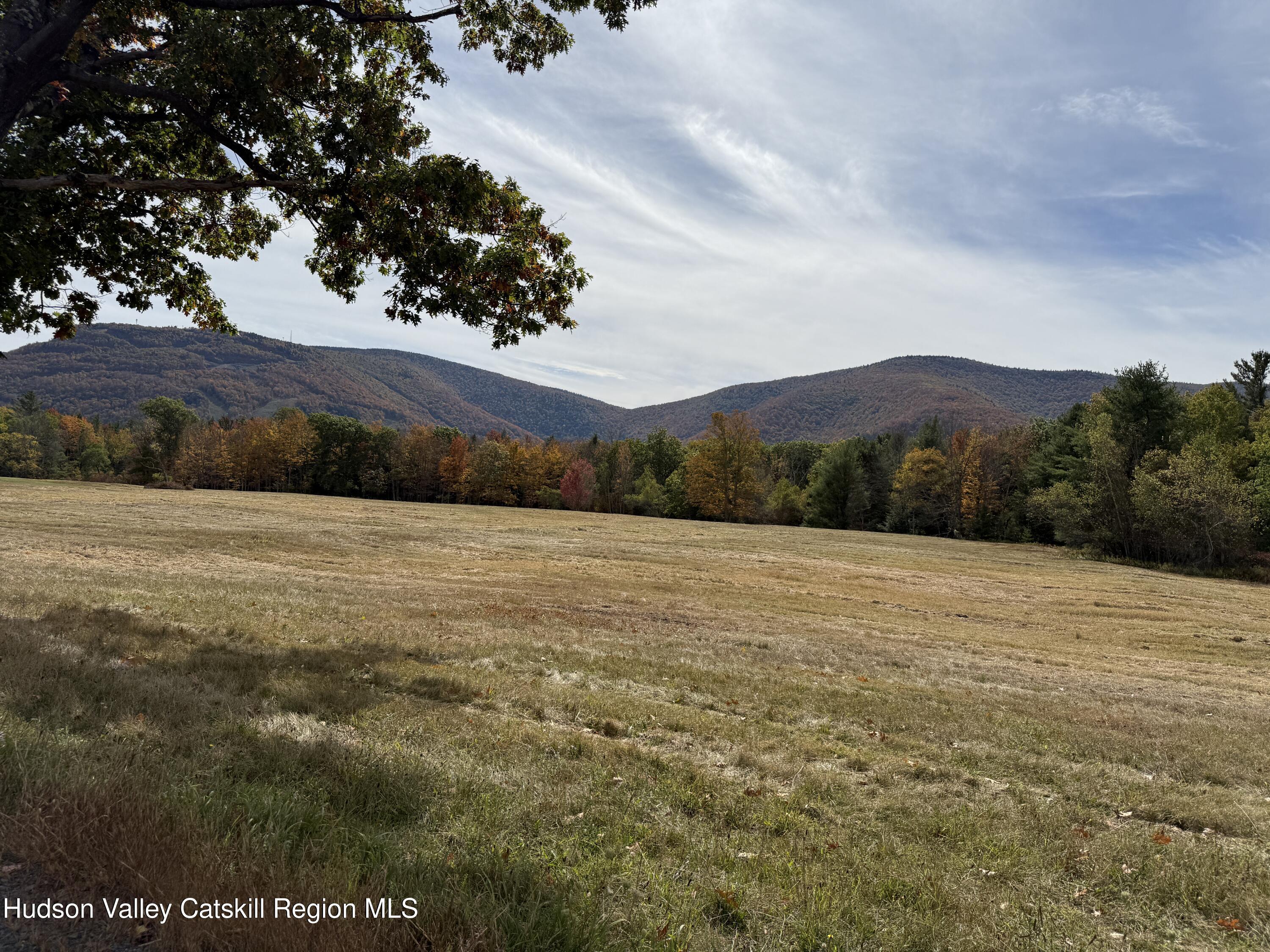 2272 State Route 296, Hunter, NY 12442