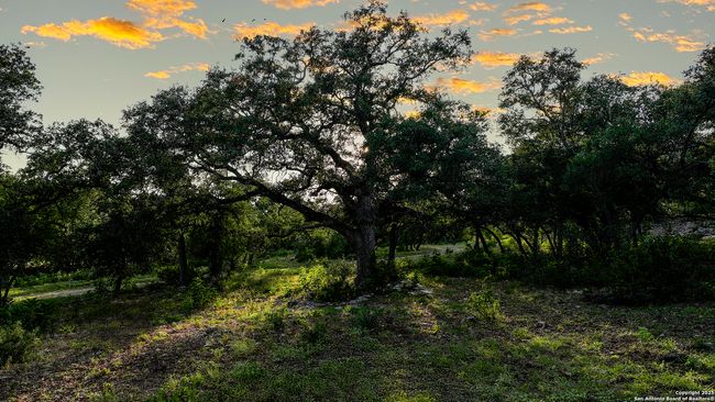 543 Narrows Rd, Home with 0 bedrooms, 0 bathrooms and null parking in Blanco TX | Image 37
