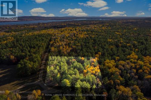 100 Nangor Trail, Westmeath, ON, K0J2L0 | Card Image