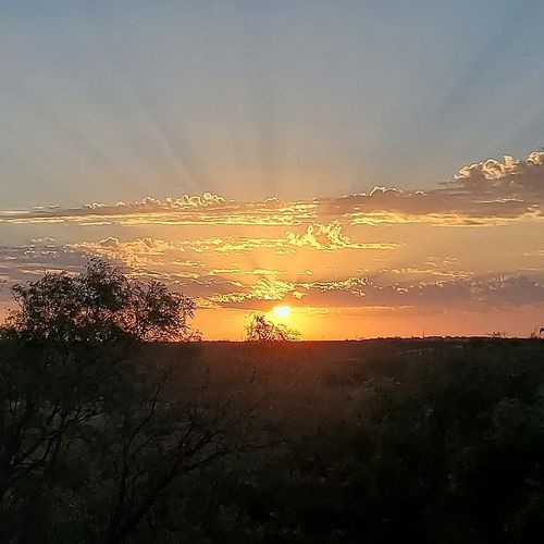 9608 County Road 452, Merkel, TX, 79536-5212 | Card Image