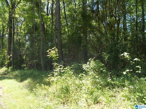 4858 Lynndale Rd, GRAYSVILLE, AL, 35073-9772 | Card Image