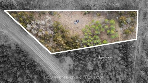 PT 11 Meach Rd, Greater Napanee, ON, K0K2Z0 | Card Image
