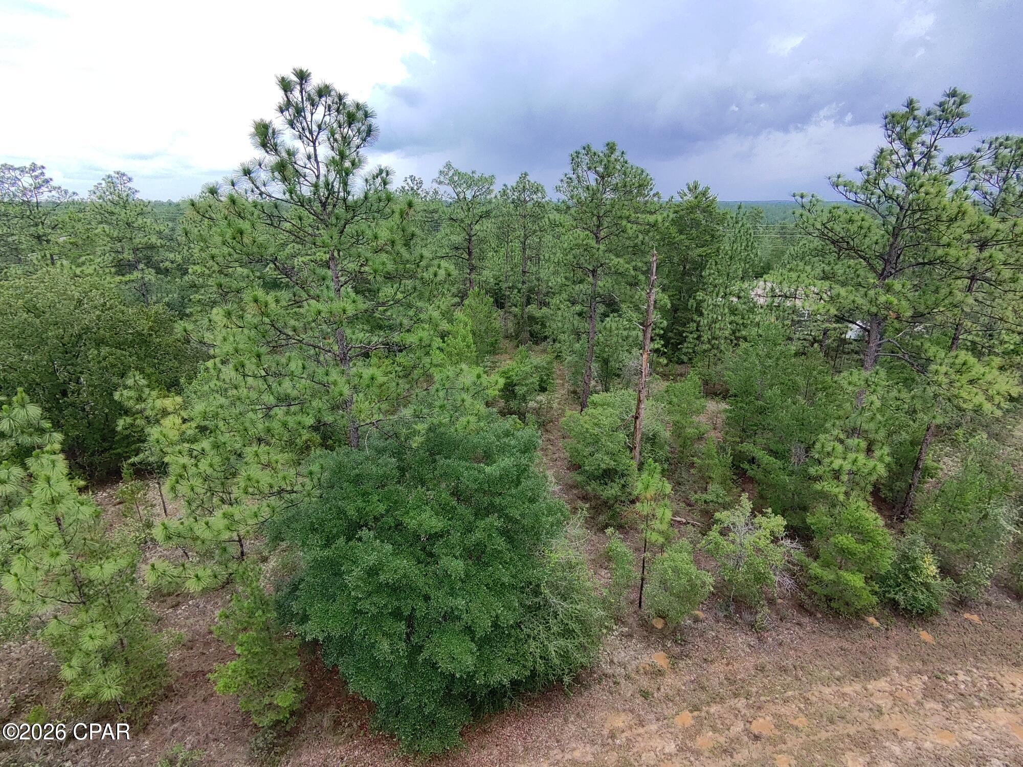 Land in Chipley 3