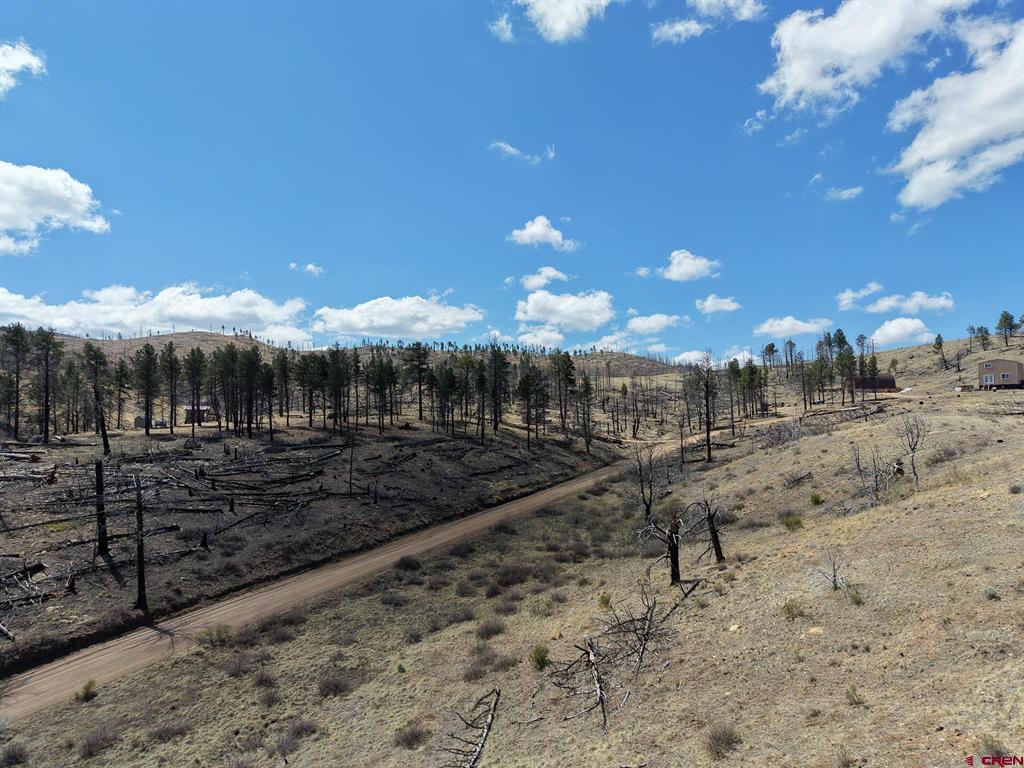 Land in Fort Garland 3