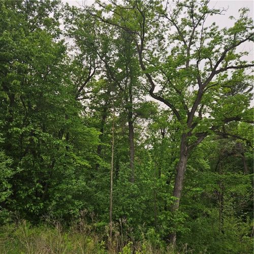 TBD 330th Ave, Elmwood, WI, 54740 | Card Image
