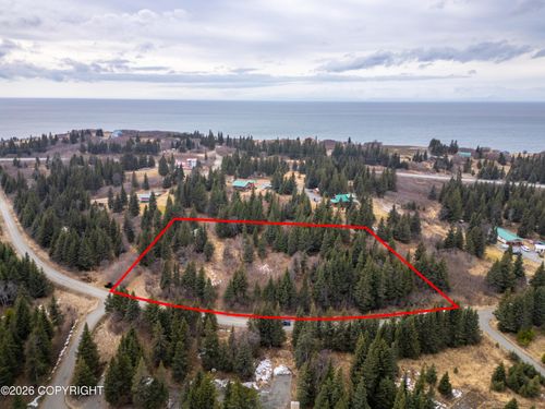 22501 Shegota Lp, Ninilchik, AK, 99639 | Card Image
