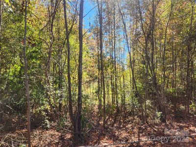 1209 Sparrow Springs Road, Home with 0 bedrooms, 0 bathrooms and null parking in Kings Mountain NC | Image 2