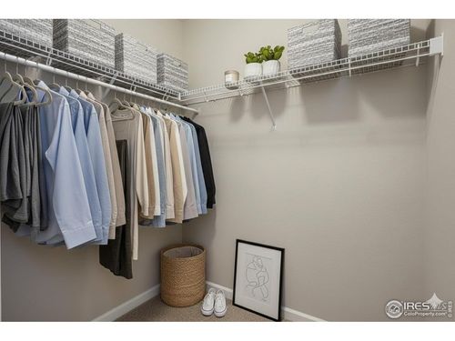 7-1003 Schlagel St, Fort Collins, CO, 80524 | Card Image