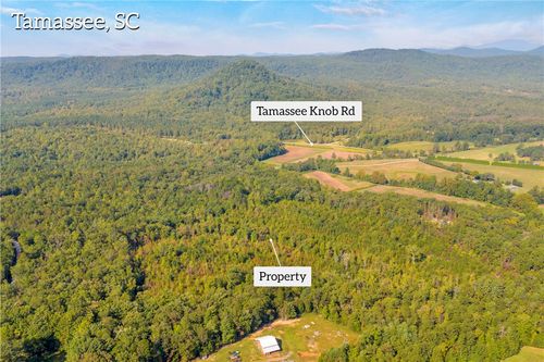 00 Walking Tall Ridge, Tamassee, SC, 29686 | Card Image