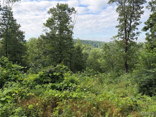 CR 453 Lots 393, 394, 395, 396 & 729, 730, 731, Piedmont, MO, 63957 | Card Image