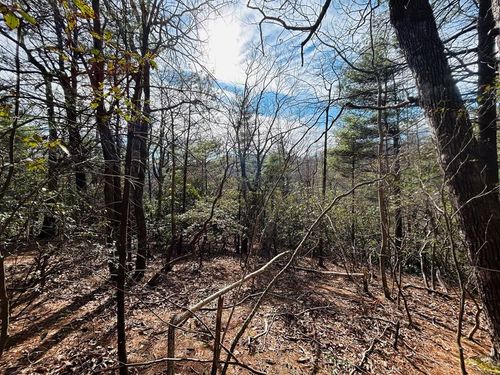 TBD Chalet Dr, Fancy Gap, VA, 24328 | Card Image