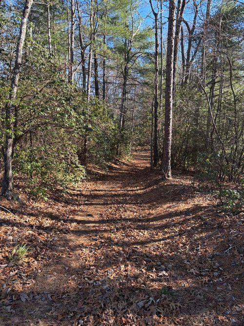 Lot 61 Thundering Hl, Murphy, NC, 28906 | Card Image