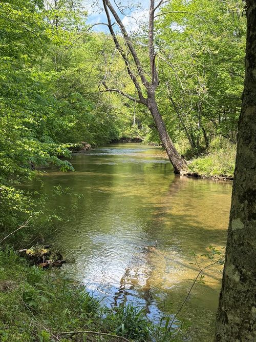 9.8 AC Brown Mountain Road, Suches, GA, 30572 | Card Image