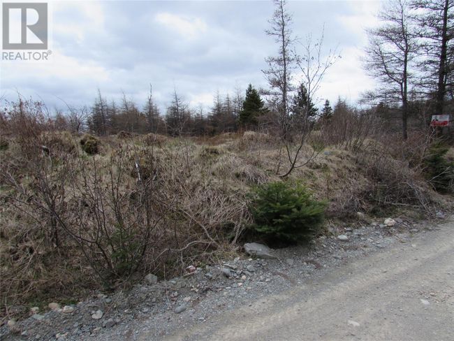 45 New Line Road, Home with 0 bedrooms, 0 bathrooms and null parking in Colliers NL | Image 23