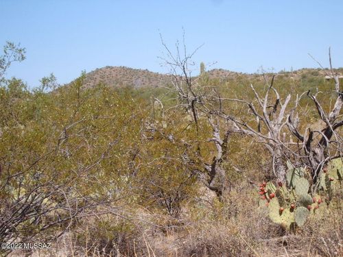 120ac-000 Gasline Trak, Marana, AZ, 85653 | Card Image