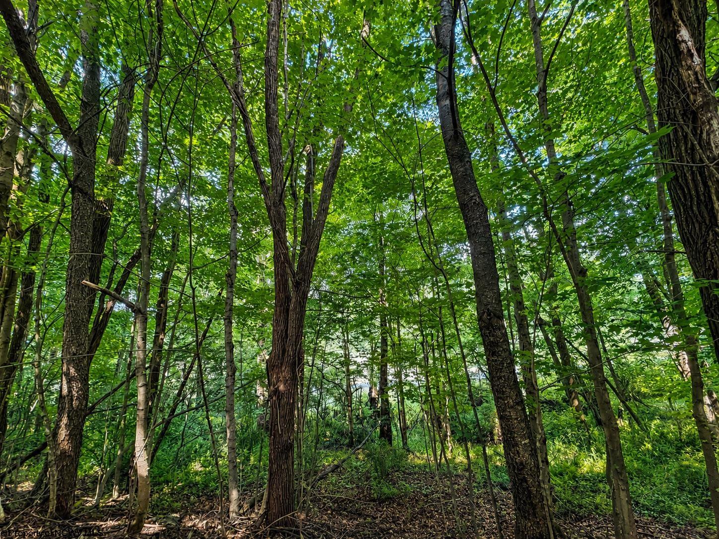 Land in Dryfork 3