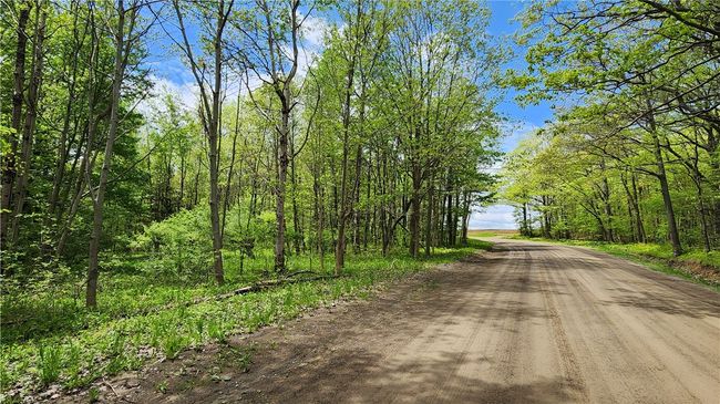 6291 Burke Rd, Home with 0 bedrooms, 0 bathrooms and null parking in Prattsburgh NY | Image 4