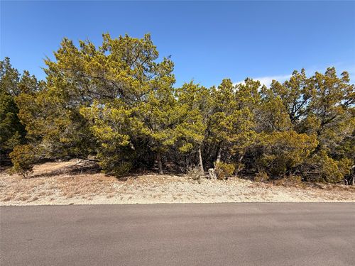 20206 Lee Ln, Lago Vista, TX, 78645 | Card Image