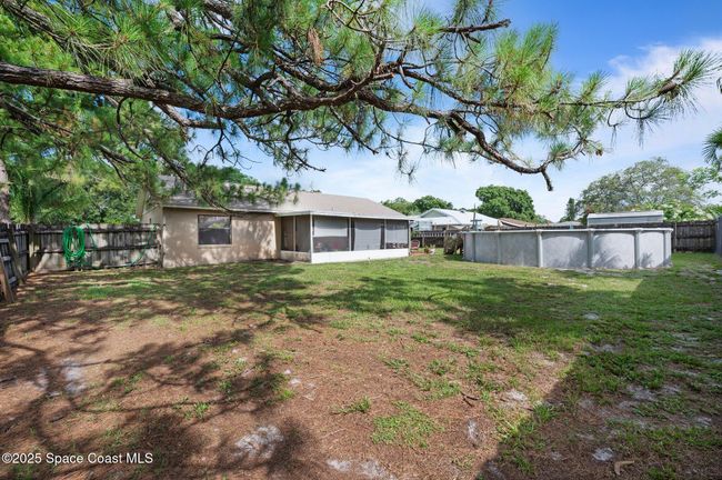 Huge backyard | Image 21