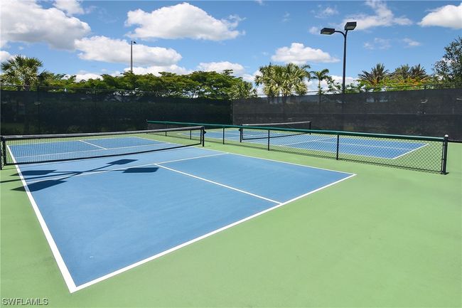 20506 Black Tree Ln, House other with 3 bedrooms, 3 bathrooms and null parking in ESTERO FL | Image 44